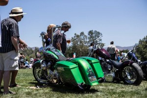 IMG_2457